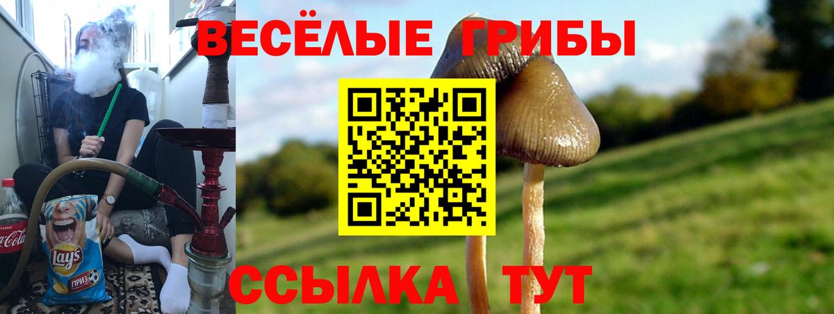 Саратов  Псилоцибиновые грибы MAGIC MUSHROOMS  Галлюциногенные грибы Cubensis  Вход с VPN 